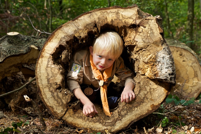 Pfadfinder Wölfling (Kinderstufe) versteckt sich im Baum
